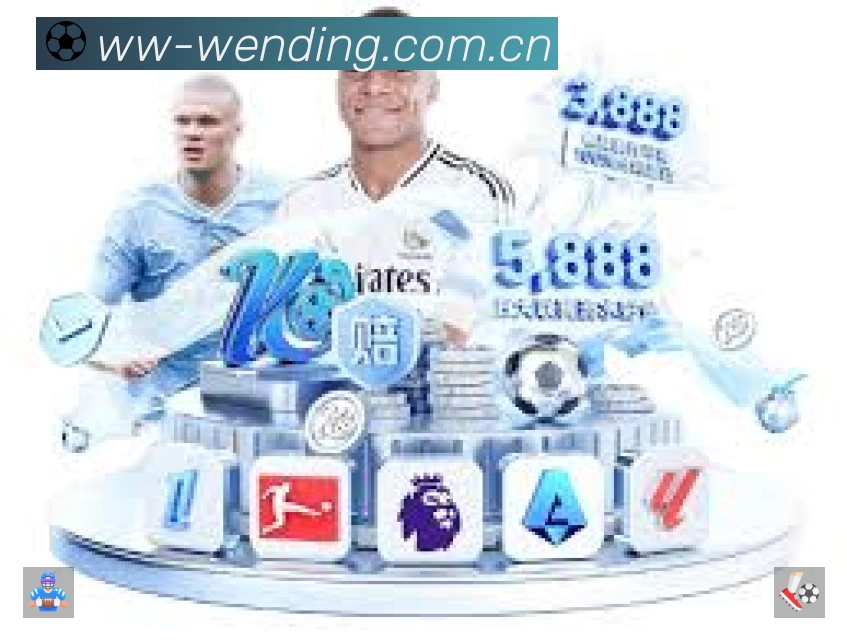 安全使用与支持流程